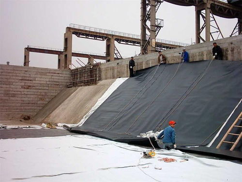 岳陽HDPE土工膜在針刺地毯曬鹽廠防滲中的應用與批量供應